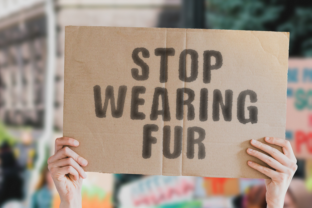 allevamenti animali da pelliccia