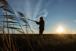 chiusura caccia veneto 2026