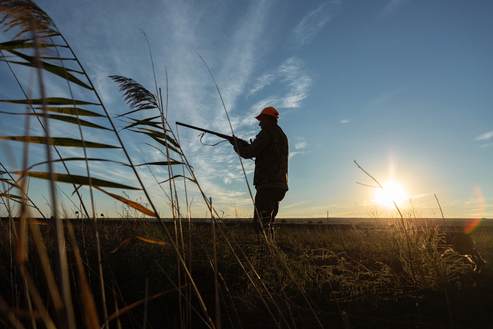 chiusura caccia veneto 2026