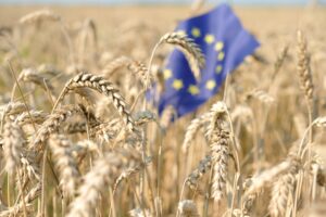 Ue Mercosur agricoltori