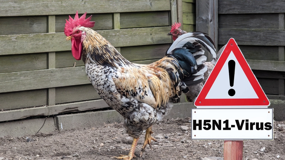 Aviaria mutazioni rischio uomo