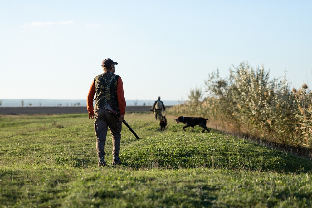 stop emendamenti caccia