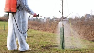 fitofarmaci illegali