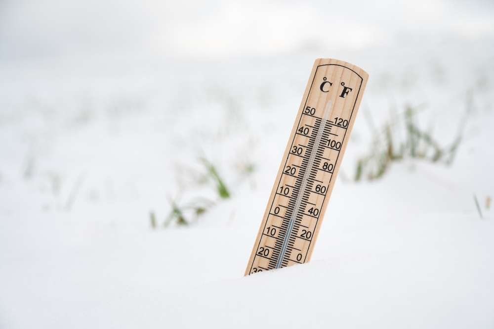 microplastiche freddo russo