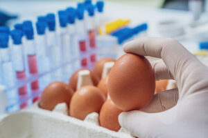 salmonella uova codice