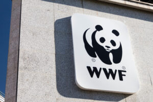 San Valentino Wwf