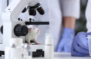 test animali milleproroghe