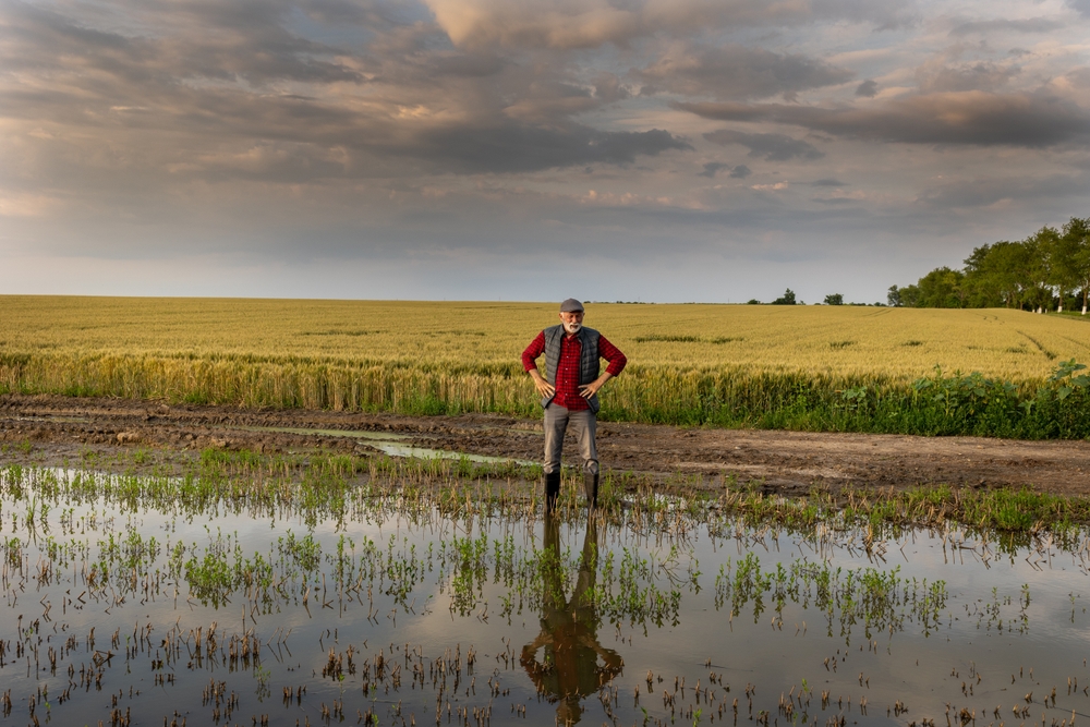 Tempesta Harry agricoltori