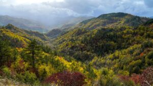 Bando foreste Toscana