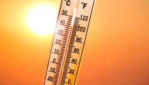 caldo estremo studio