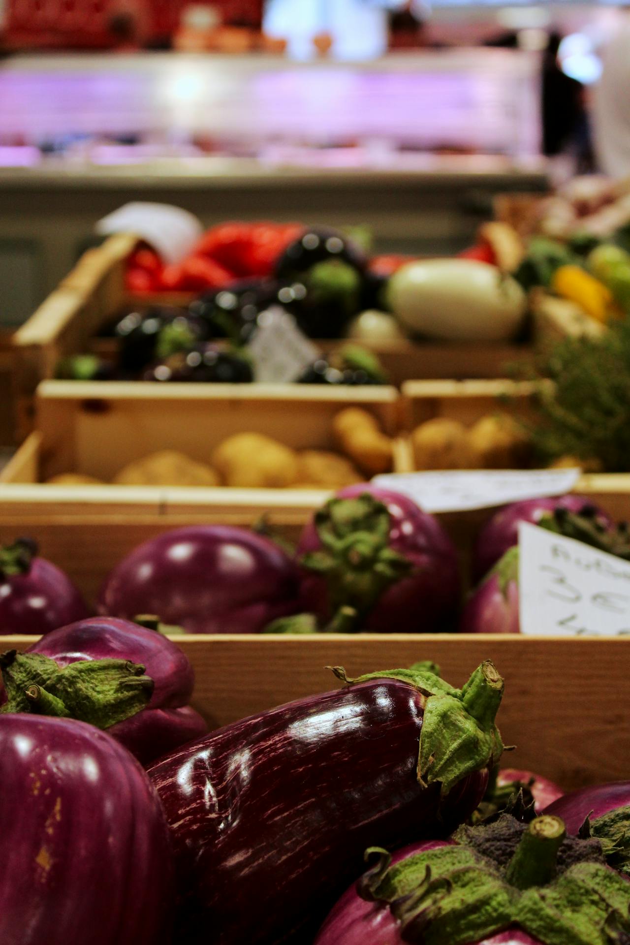 filiera agroalimentare