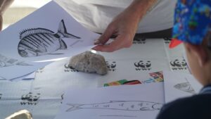 NETTAG+ Spadafora WWF pescatori