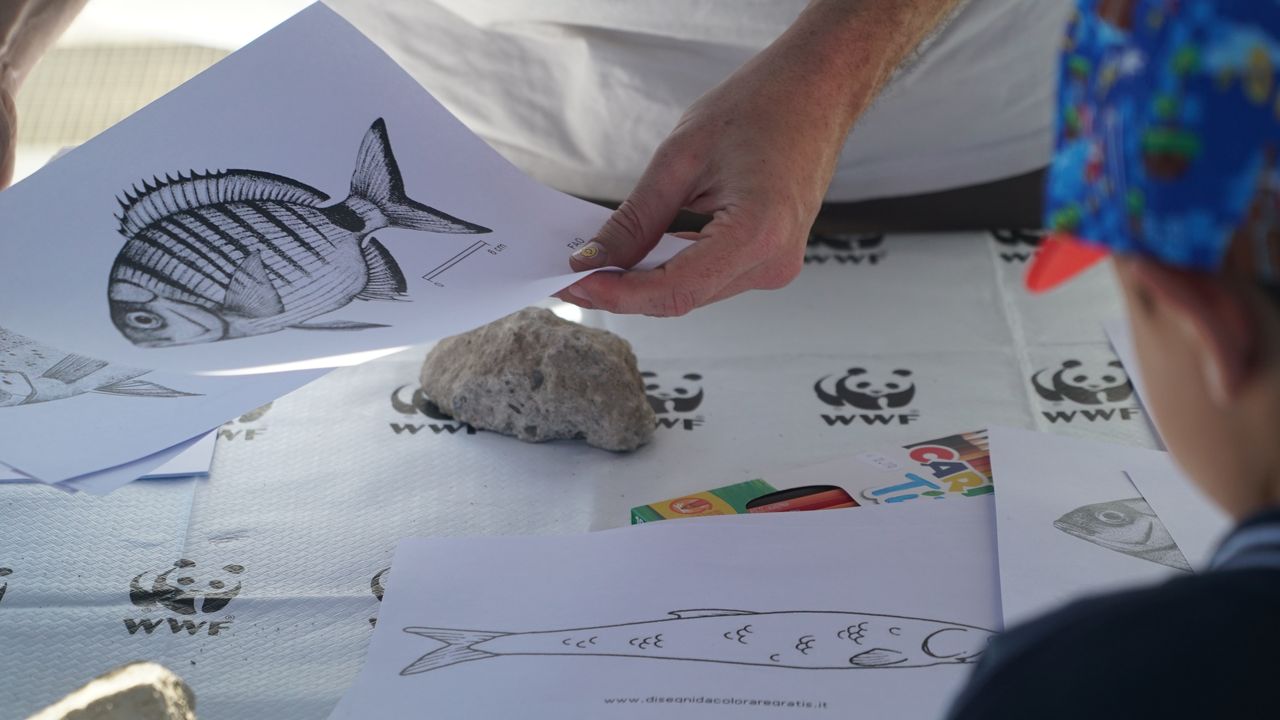 NETTAG+ Spadafora WWF pescatori