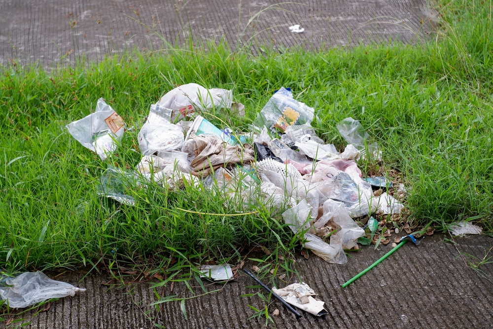 Pasquetta rifiuti infrazione Ue