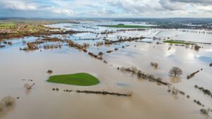 Maltempo Centro-Sud danni agricoltura