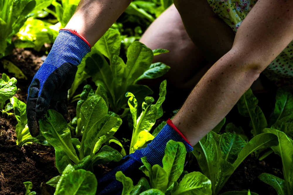 Made in Italy agricoltura